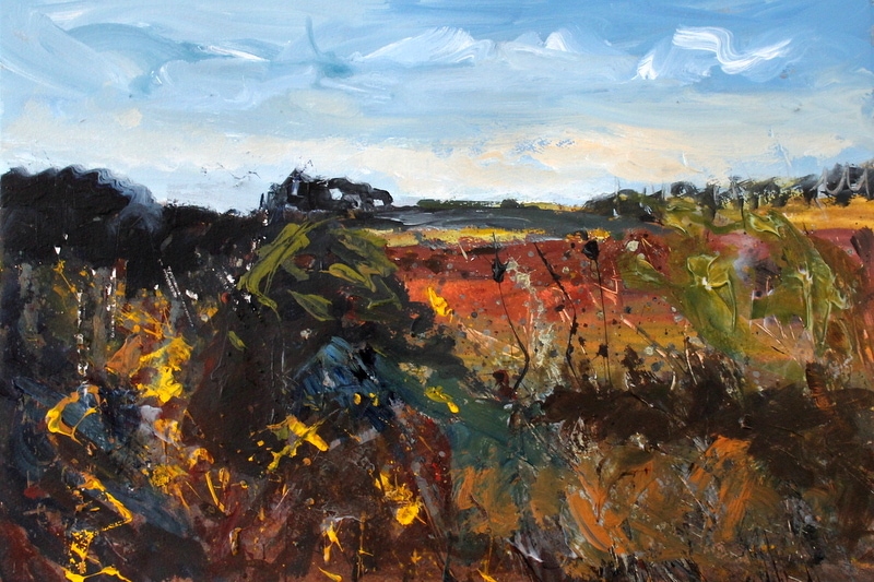 Pembrokeshire Artist Landscapes